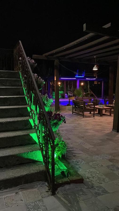 Garden Place Alojamento Local Візеу Екстер'єр фото